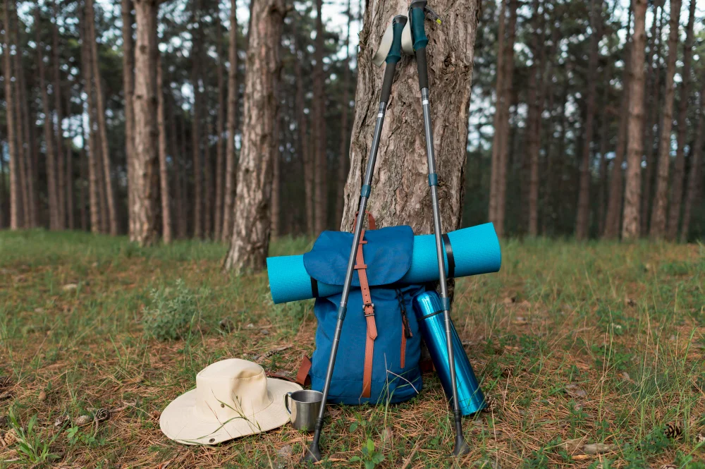 camping essentials for beginners