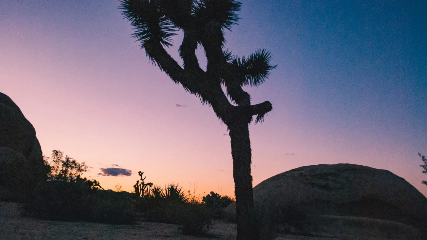 Belle Campground