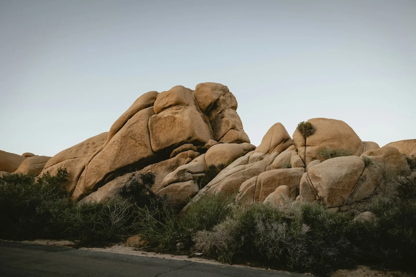 Jumbo Rocks Campground