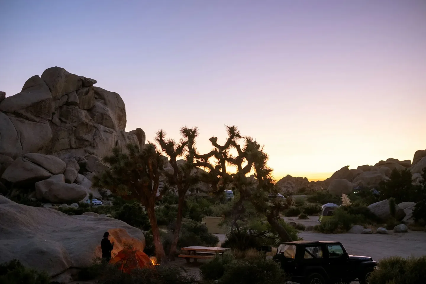 joshua tree camping
