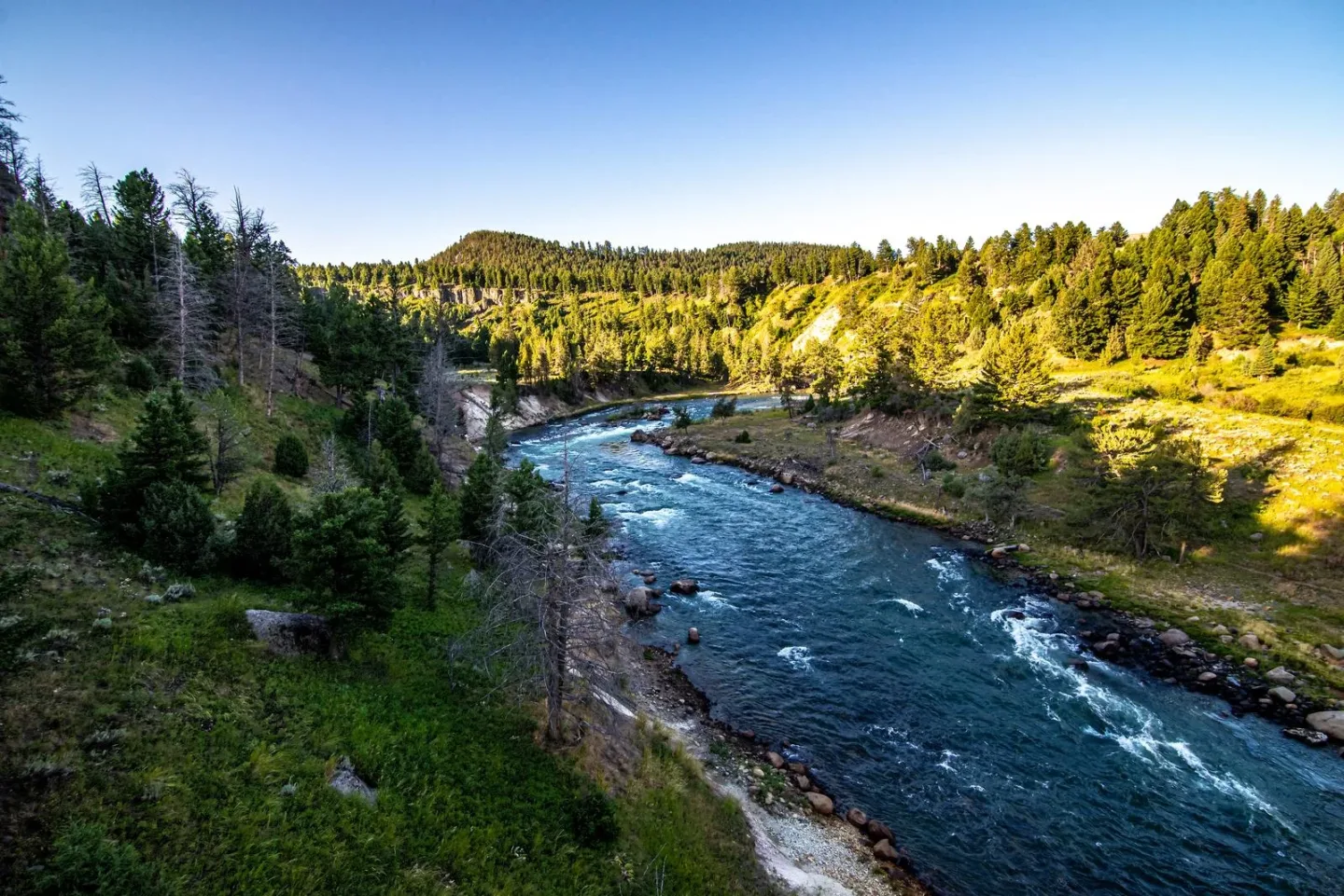 yellowstone national park